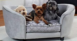Enchanted Home Pet Quicksilver Pet Sofa Bed, 34 by 3 by 15.5-Inch,