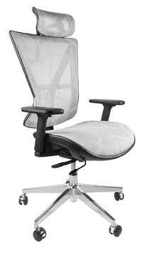 Executive Ergonomic Chair with Headrest