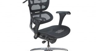 Butterfly Ergonomic Executive Office Chair. Combining