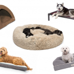Choosing the best floor for pet owners