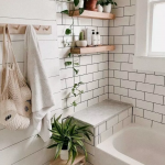 Decorate your bathroom with beautiful plants