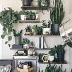 How to integrate plants in an apartment