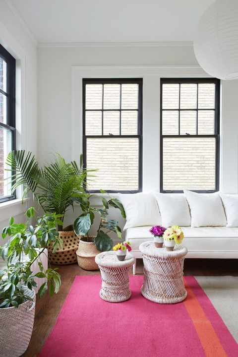Ideas for decorating the living room with plants