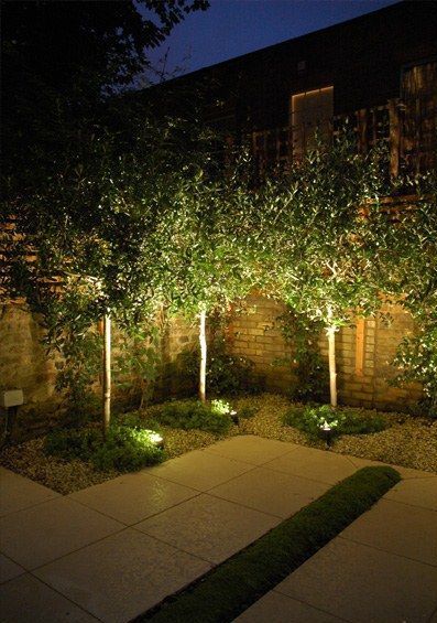 Landscape and outdoor lights