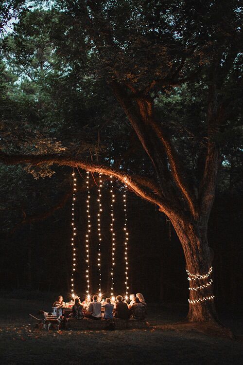 Outdoor lights for parties