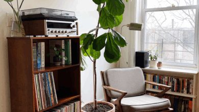 Beautiful Living Room Ideas