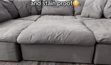 Best Couch