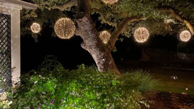 outdoor tree lighting