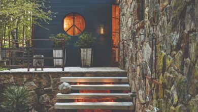 Landscape and outdoor lights