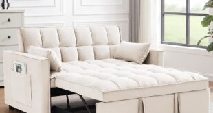 Loveseat Sofa Sleeper