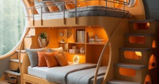 amazing bunk beds