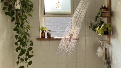 Apartment Decor
