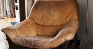 Armchair Leather