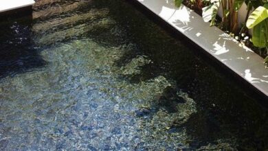 Backyard Pools