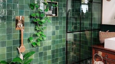 Bathroom Renovation Ideas