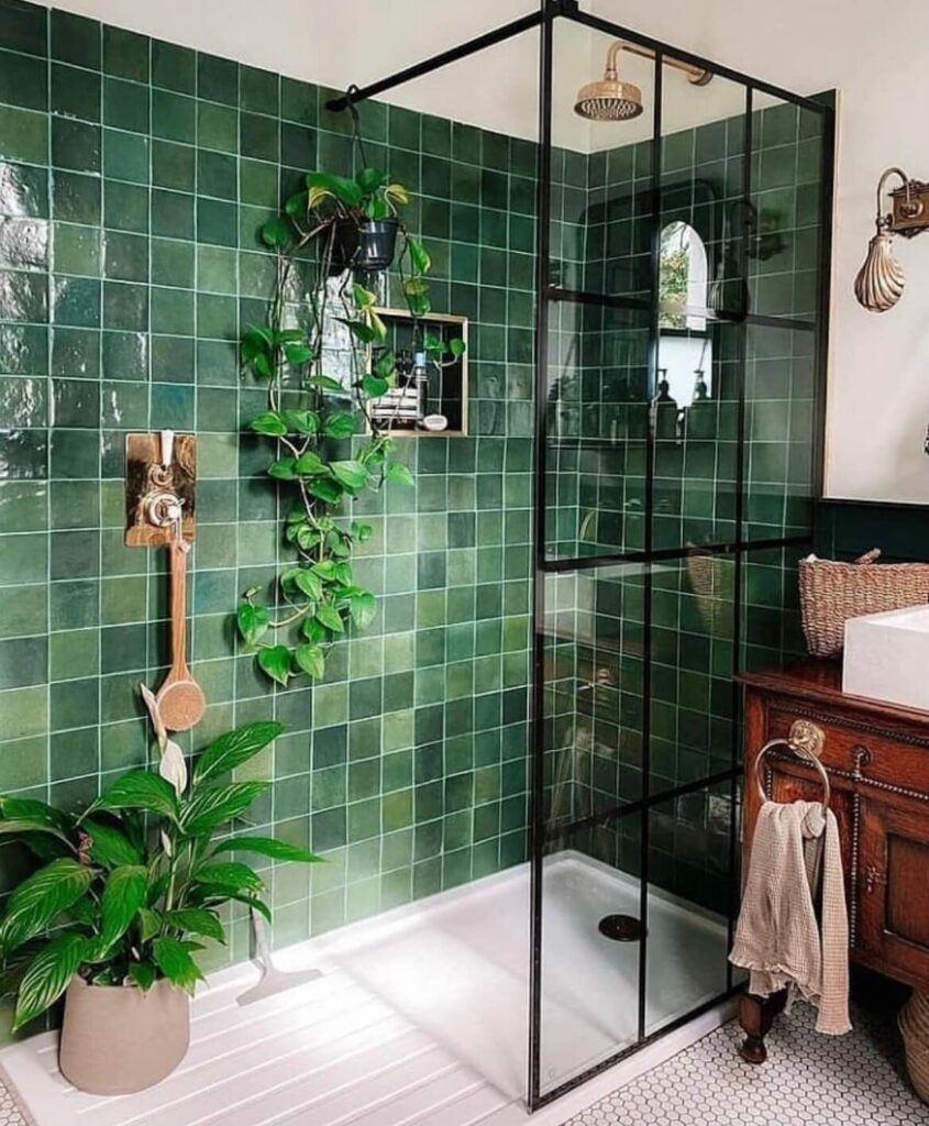 Bathroom Renovation Ideas