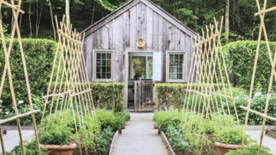 Beautiful Garden Design Ideas