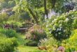 Beautiful Garden Design Ideas