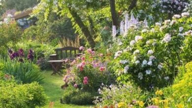 Beautiful Garden Design Ideas
