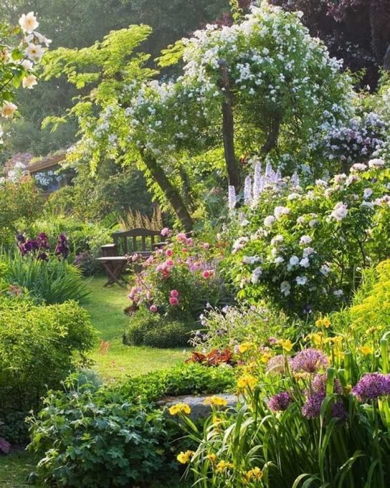 Beautiful Garden Design Ideas for Every Outdoor Space