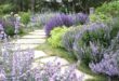 Beautiful Garden Design Ideas