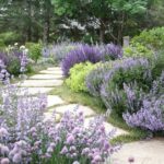 Beautiful Garden Design Ideas