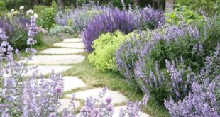 Beautiful Garden Design Ideas