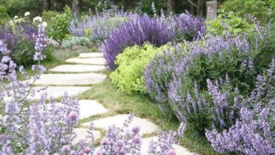 Beautiful Garden Design Ideas