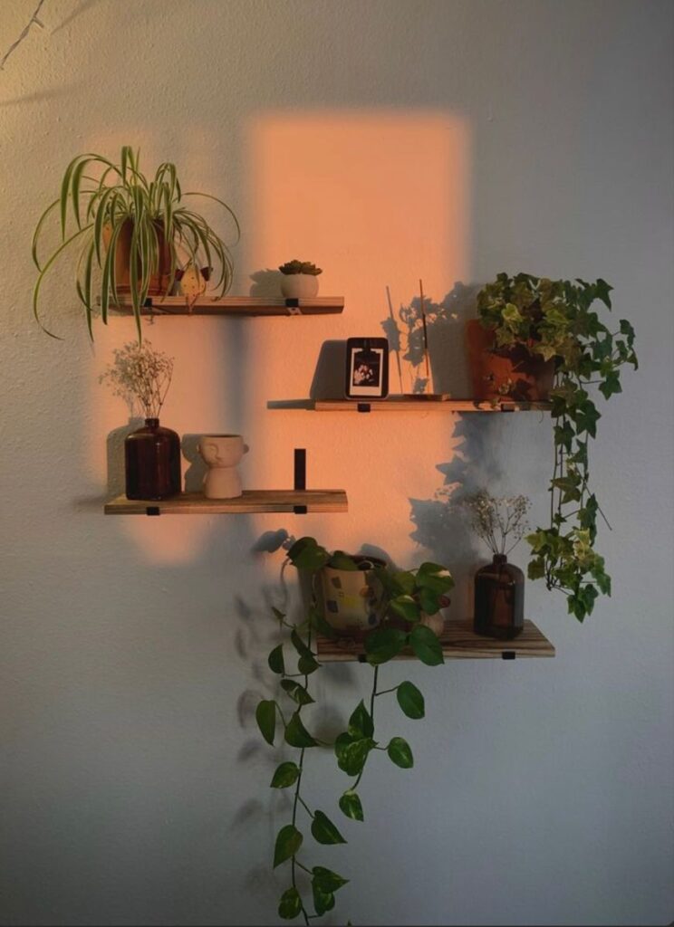 Bedroom Shelves