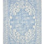 Blue Area Rug