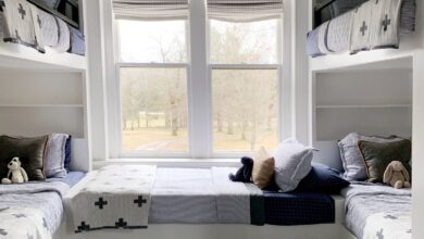 bunk beds furniture