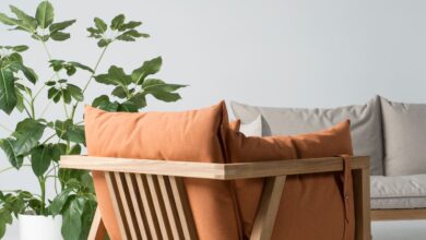 Chair Furniture