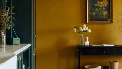 Colored walls in the kitchen