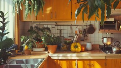Colorful design of the kitchen