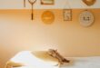 Colors For Bedroom Wall
