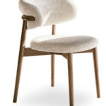 Contemporary Dining Chairs