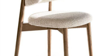 Contemporary Dining Chairs