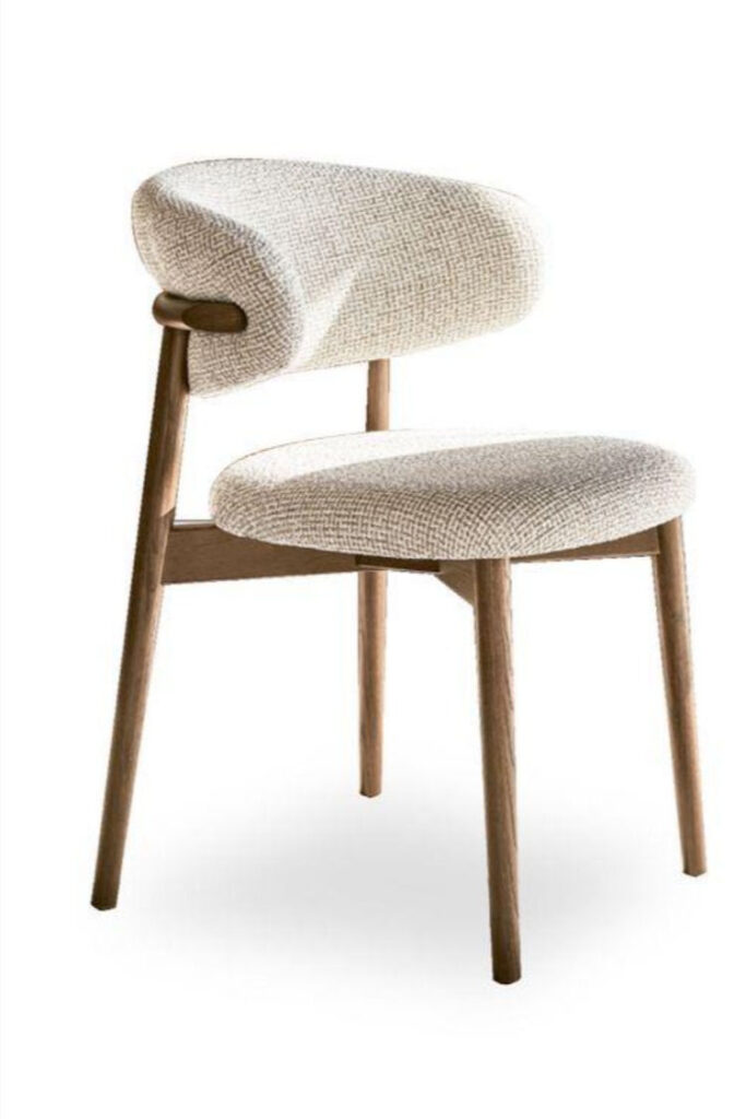 Contemporary Dining Chairs