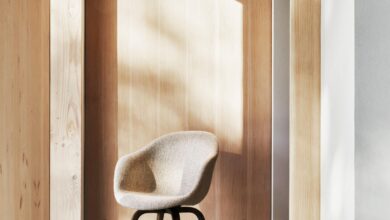 Contemporary Dining Chairs