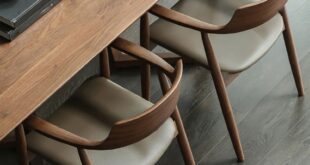 Contemporary Dining Chairs