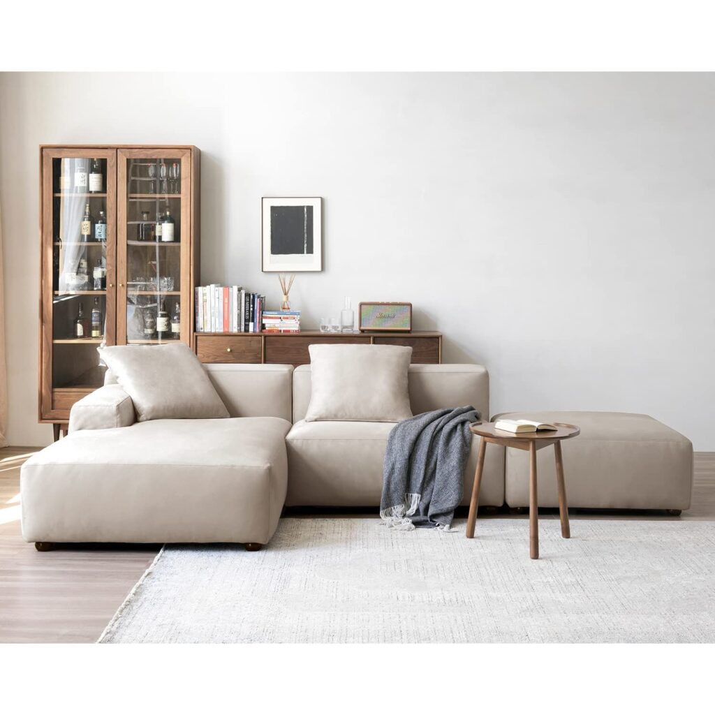 Contemporary Sectional Couch