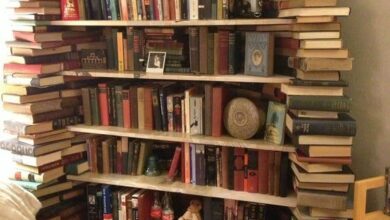 Cool Bookshelves