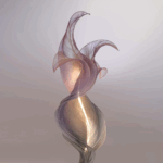 Cool lamps designs