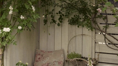 Corner Shed For Garden