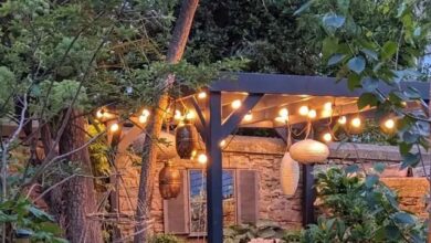 Corner Shed For Garden