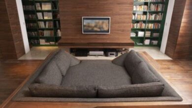 Couch Beds