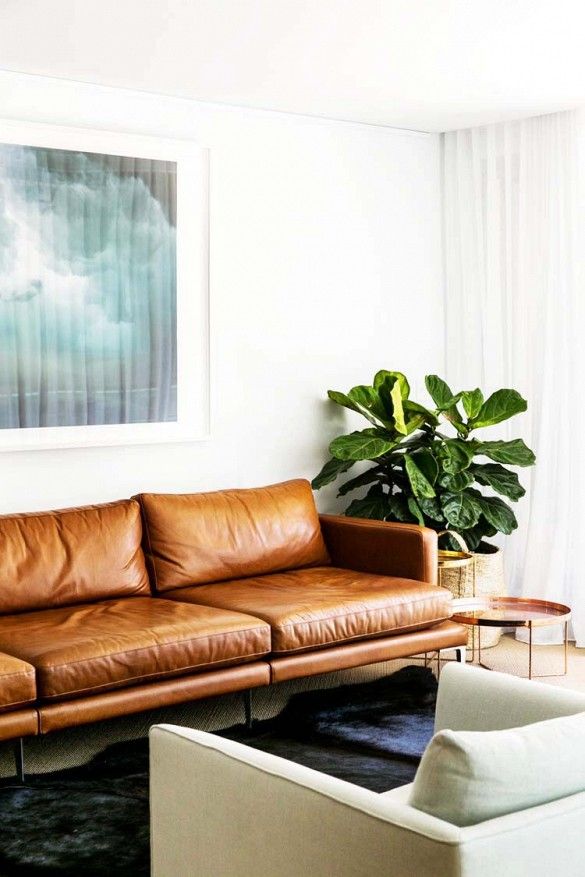 Couch In Leather Elegant and Stylish Furniture Option for Your Living Room