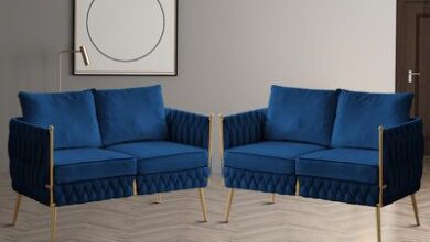 Couch Loveseat Set