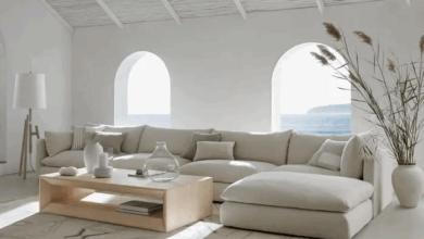 Couch Sofa