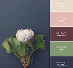 Cream colored beds